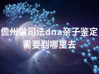 儋州做司法dna亲子鉴定需要到哪里去