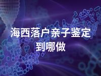 海西落户亲子鉴定到哪做