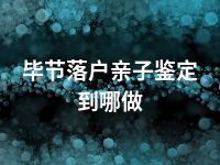 毕节落户亲子鉴定到哪做