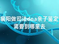襄阳做司法dna亲子鉴定需要到哪里去