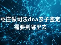 枣庄做司法dna亲子鉴定需要到哪里去