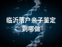 临沂落户亲子鉴定到哪做