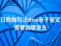日照做司法dna亲子鉴定需要到哪里去