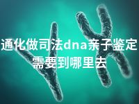通化做司法dna亲子鉴定需要到哪里去