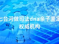七台河做司法dna亲子鉴定权威机构