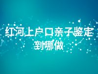 红河上户口亲子鉴定到哪做