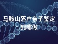 马鞍山落户亲子鉴定到哪做