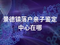 景德镇落户亲子鉴定中心在哪
