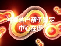 湘潭落户亲子鉴定中心在哪