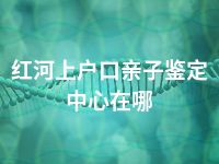 红河上户口亲子鉴定中心在哪