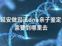 延安做司法dna亲子鉴定需要到哪里去