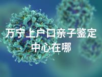 万宁上户口亲子鉴定中心在哪