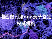 湘西做司法dna亲子鉴定权威机构