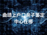曲靖上户口亲子鉴定中心在哪