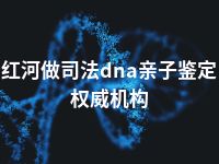 红河做司法dna亲子鉴定权威机构