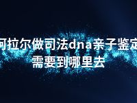 阿拉尔做司法dna亲子鉴定需要到哪里去