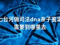 七台河做司法dna亲子鉴定需要到哪里去