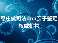 枣庄做司法dna亲子鉴定权威机构