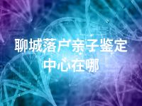 聊城落户亲子鉴定中心在哪