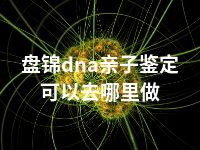 盘锦dna亲子鉴定可以去哪里做
