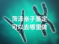 菏泽亲子鉴定可以去哪里做