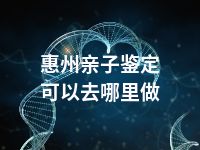 惠州亲子鉴定可以去哪里做