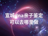 宣城dna亲子鉴定可以去哪里做