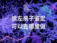崇左亲子鉴定可以去哪里做
