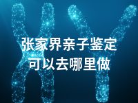 张家界亲子鉴定可以去哪里做