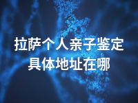 拉萨个人亲子鉴定具体地址在哪