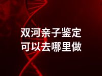 双河亲子鉴定可以去哪里做