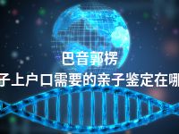 巴音郭楞孩子上户口需要的亲子鉴定在哪做