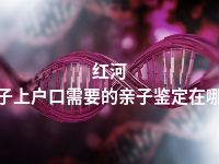 红河孩子上户口需要的亲子鉴定在哪做