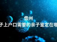 儋州孩子上户口需要的亲子鉴定在哪做