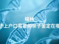 榆林孩子上户口需要的亲子鉴定在哪做