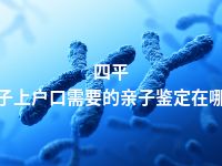 四平孩子上户口需要的亲子鉴定在哪做
