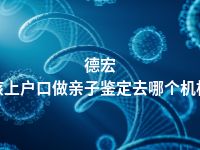 德宏小孩上户口做亲子鉴定去哪个机构做