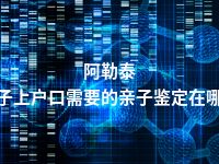 阿勒泰孩子上户口需要的亲子鉴定在哪做