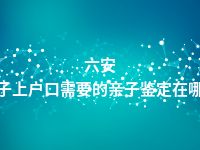 六安孩子上户口需要的亲子鉴定在哪做
