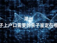 潮州孩子上户口需要的亲子鉴定在哪做