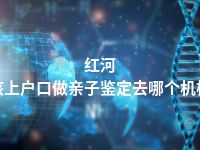 红河小孩上户口做亲子鉴定去哪个机构做