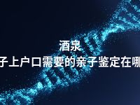 酒泉孩子上户口需要的亲子鉴定在哪做