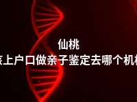 仙桃小孩上户口做亲子鉴定去哪个机构做