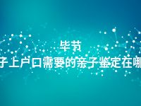 毕节孩子上户口需要的亲子鉴定在哪做