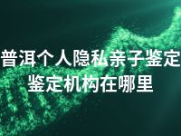 普洱个人隐私亲子鉴定鉴定机构在哪里