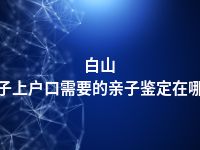 白山孩子上户口需要的亲子鉴定在哪做